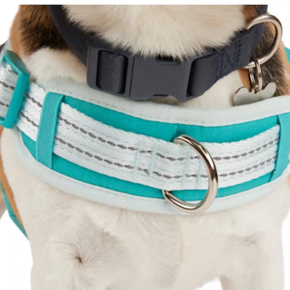 EveryYay Embrace the Pace Training Dog Harness Blue